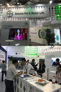 拜耳以整体解决方案与环保咨询，驱动马铃薯产业迈向可持续发展