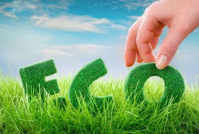 全面指南 如何注册一家环保咨询服务公司